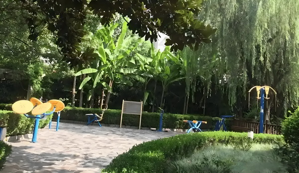 陈梦与演员任嘉伦一起打乒乓球，两人系发小+队友